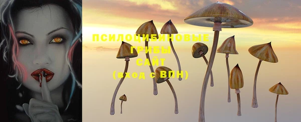 ГАЛЛЮЦИНОГЕННЫЕ ГРИБЫ Алексеевка