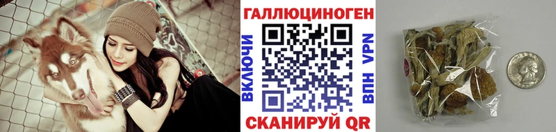 наркота  Шадринск  Псилоцибиновые грибы Psilocybine cubensis 