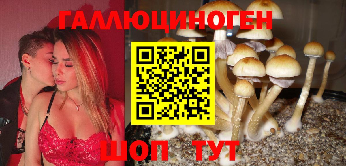 Псилоцибиновые грибы MAGIC MUSHROOMS Шадринск