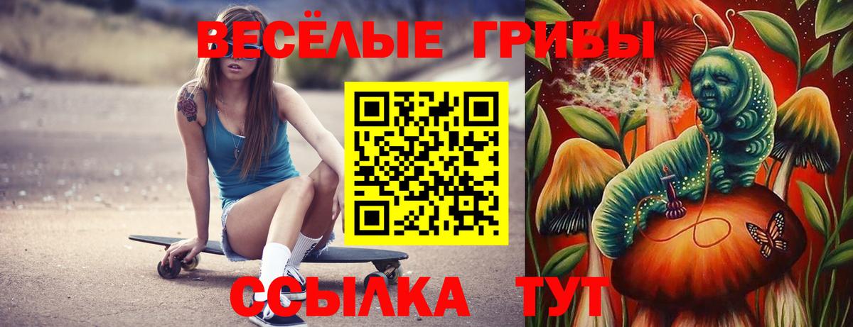 Псилоцибиновые грибы Psilocybe  Вход с VPN  Псилоцибиновые грибы GOLDEN TEACHER  Шадринск 